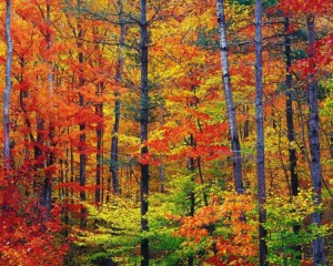 Octobre